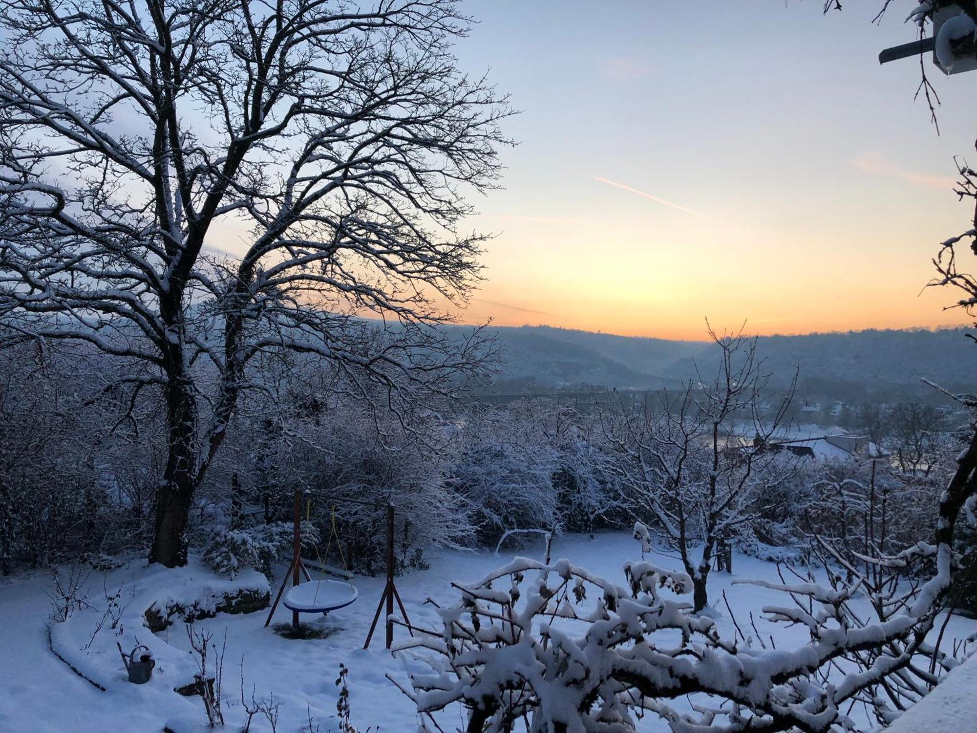 Ueber Den Daechern Von Koblenz - Aussichts-Wohnung Naturpark Rheinblick, Ruhig, Zentrumsnah, Sport-Pool Exterior foto
